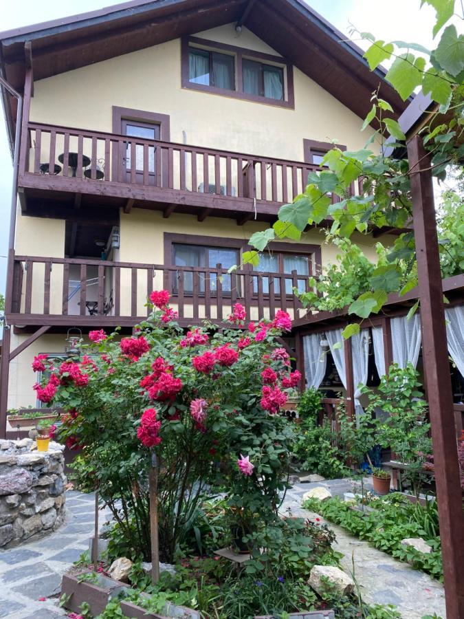 Casa Donau Delta Hotel ซูลีนา ภายนอก รูปภาพ